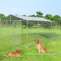 Cage per cani da ginnastica galvanizzata esterna